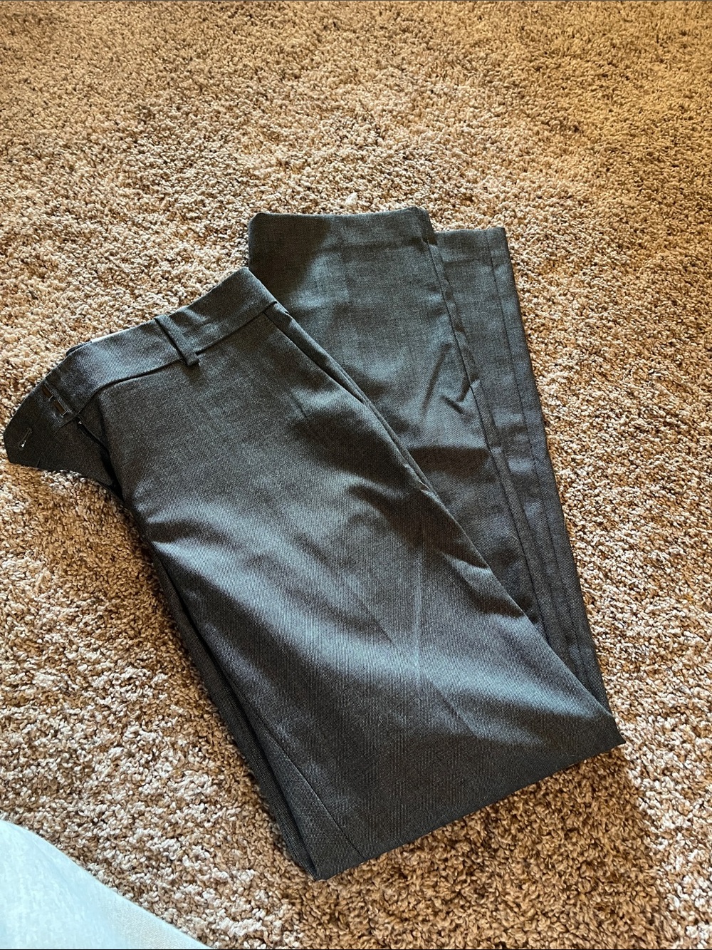 Ann Taylor dress pants NWT